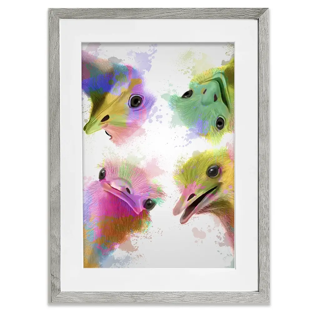 Rainbow Splash Four Ostriches Framed Art Print Rainbow Splash Four Ostriches Framed Art Print wall art product Fab Funky
