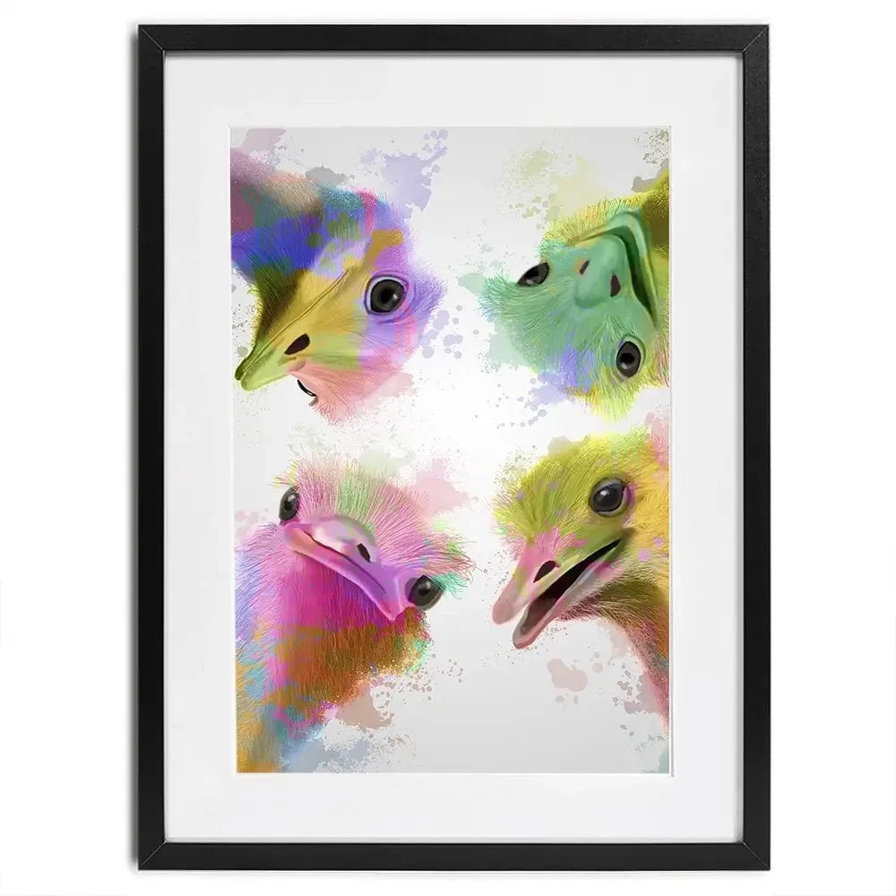 Rainbow Splash Four Ostriches Framed Art Print Rainbow Splash Four Ostriches Framed Art Print wall art product Fab Funky