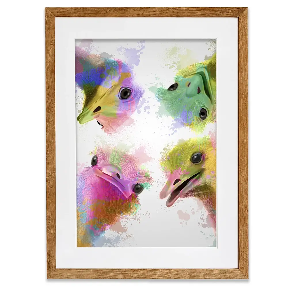 Rainbow Splash Four Ostriches Framed Art Print Rainbow Splash Four Ostriches Framed Art Print wall art product Fab Funky