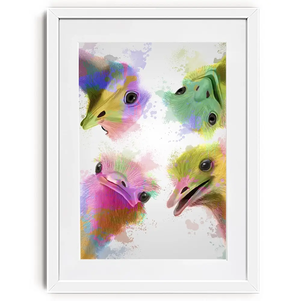 Rainbow Splash Four Ostriches Framed Art Print Rainbow Splash Four Ostriches Framed Art Print wall art product Fab Funky