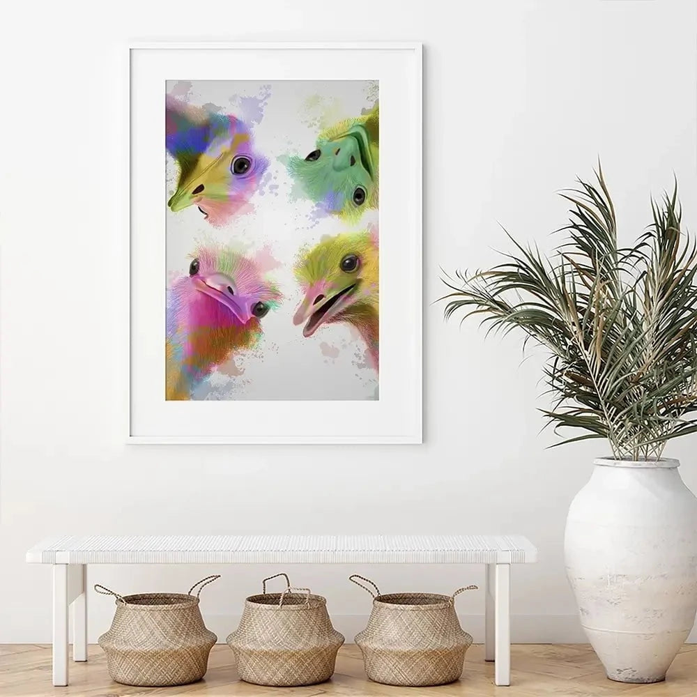 Rainbow Splash Four Ostriches Framed Art Print Rainbow Splash Four Ostriches Framed Art Print wall art product Fab Funky