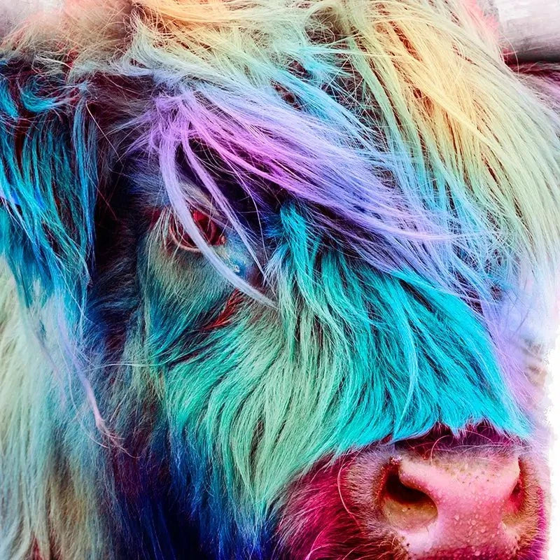 Rainbow Style Highland Cow Art Print Rainbow Style Highland Cow Art Print wall art product Patricia Chumillas / Shutterstock
