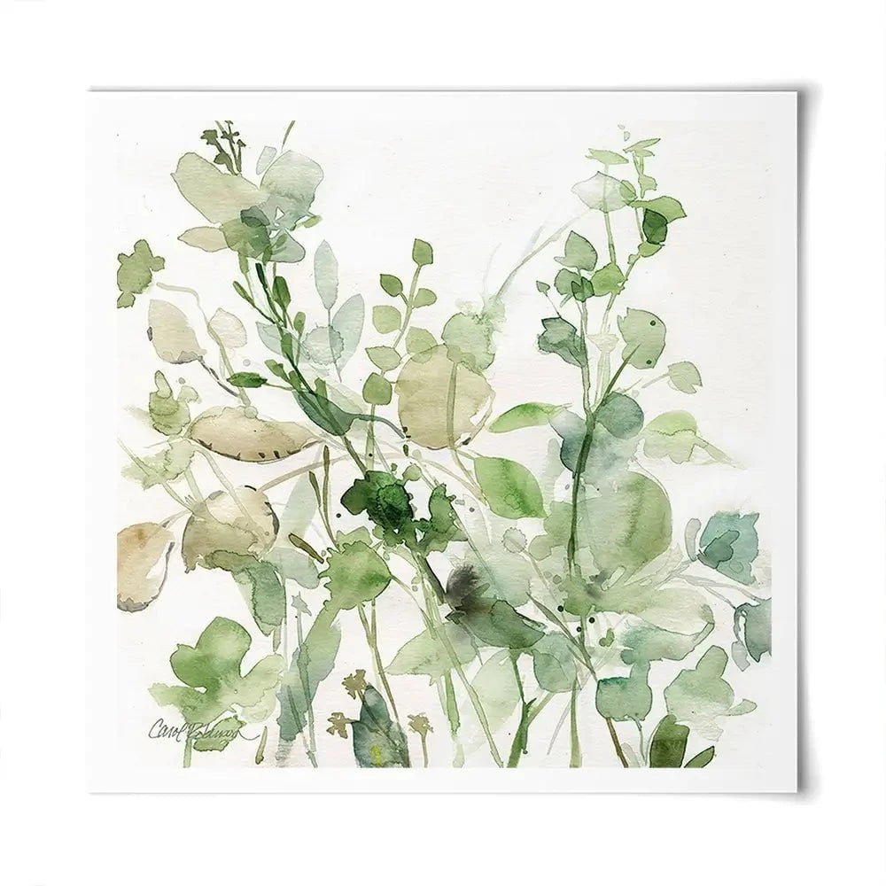 Sage Garden 2 Square Art Print Sage Garden 2 Square Art Print wall art product Carol Robinson
