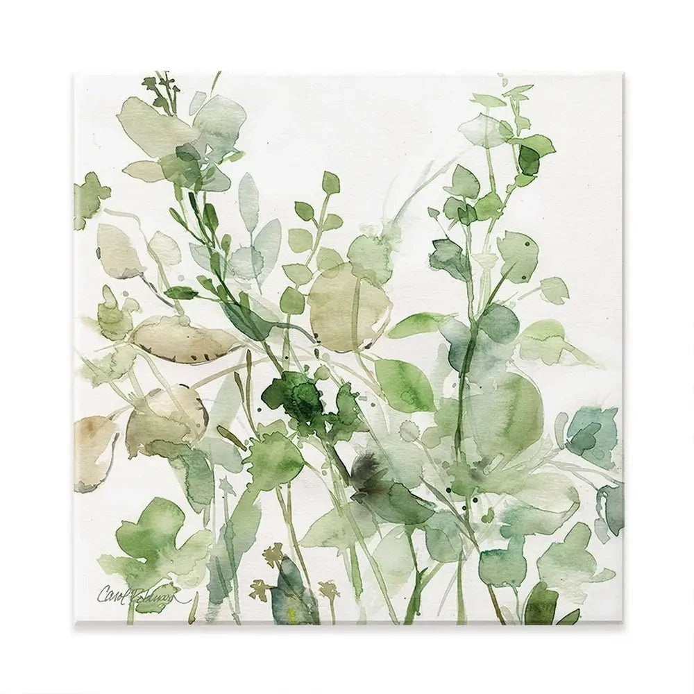 Sage Garden 2 Square Canvas Print Sage Garden 2 Square Canvas Print wall art product Carol Robinson