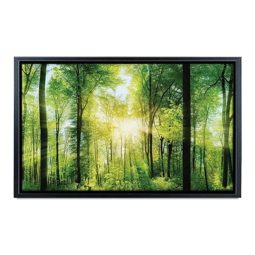 Scenic Forest Canvas Print Scenic Forest Canvas Print wall art product Smileus / Shutterstock
