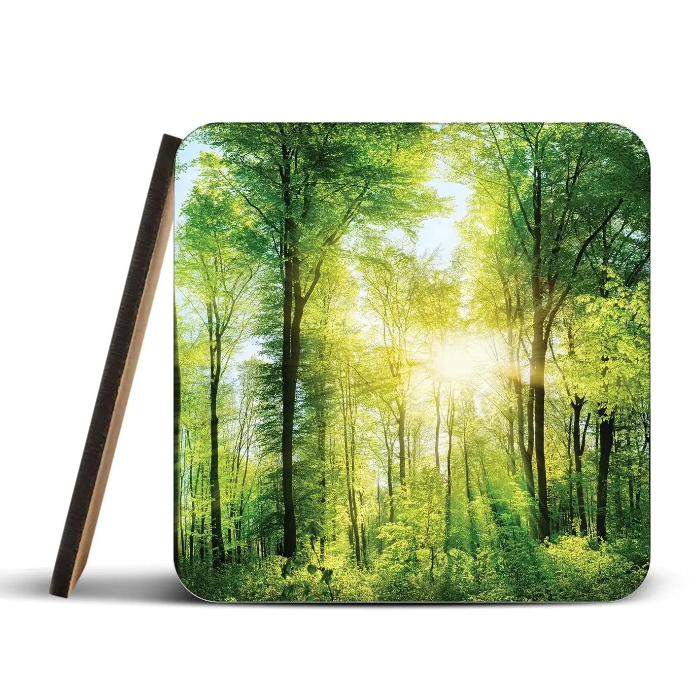 Scenic Forest Coaster Set Rainbow Soul Tree Coaster Set | Rainbow Soul Tree Art Coasters wall art product Smileus / Shutterstock