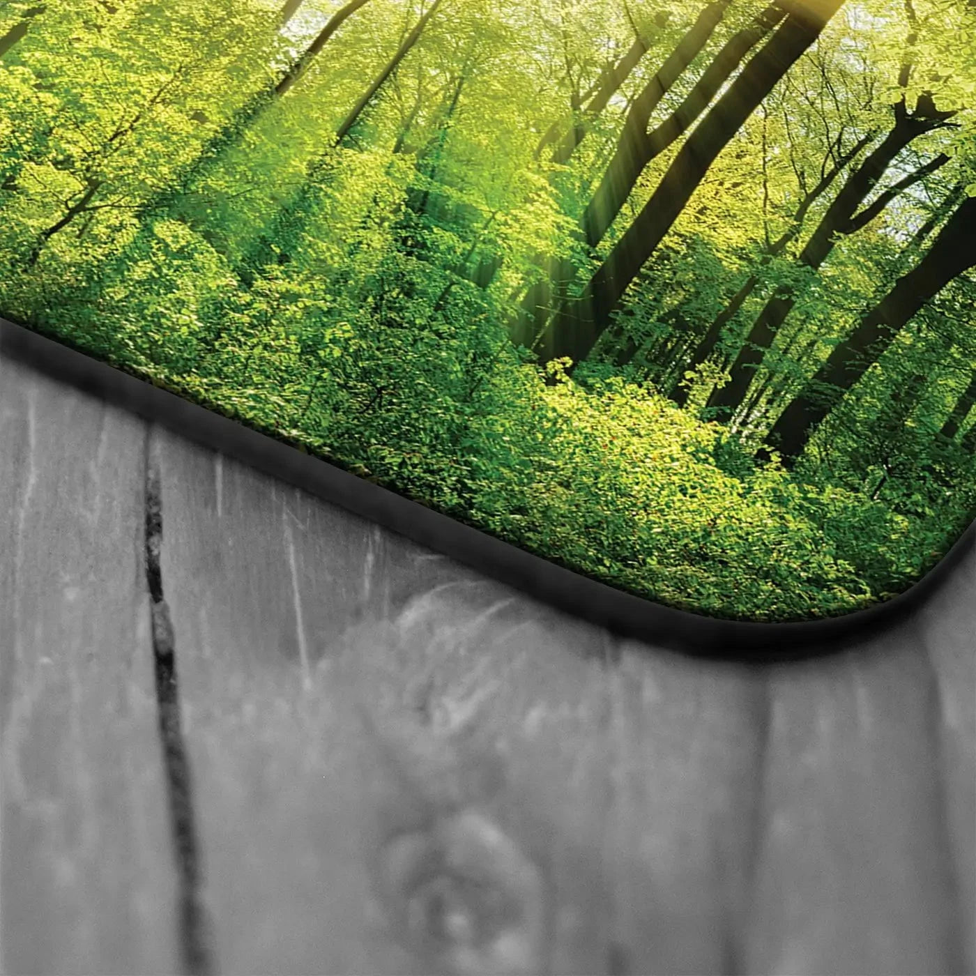 Scenic Forest Coaster Set Rainbow Soul Tree Coaster Set | Rainbow Soul Tree Art Coasters wall art product Smileus / Shutterstock