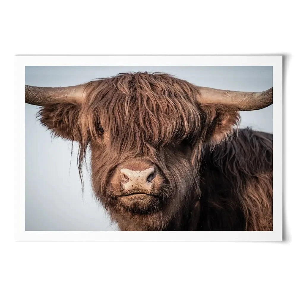 Scottish Brown Highland Cattle Art Print Scottish Brown Highland Cattle Art Print wall art product Sandro Fabris / Shutterstock