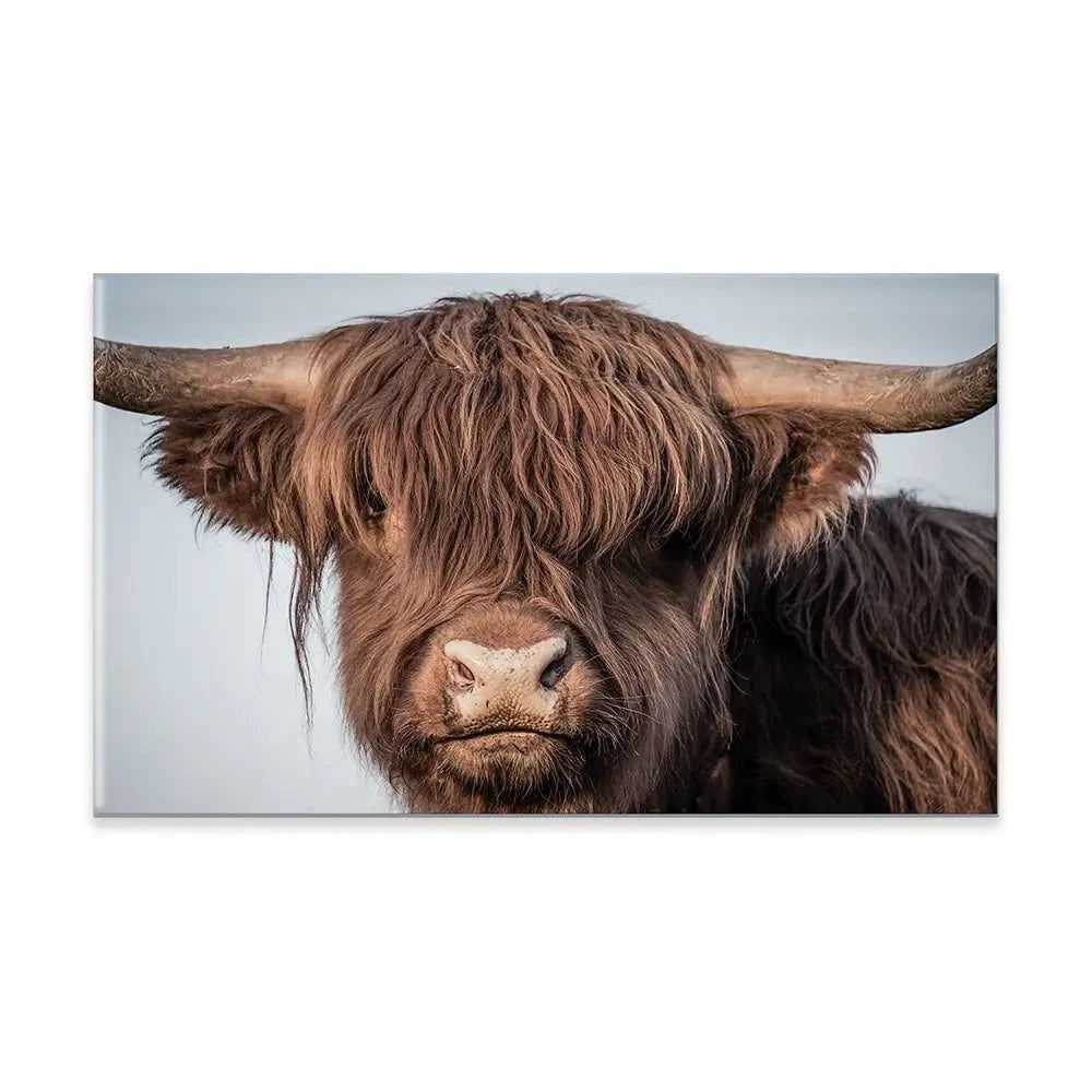 Scottish Brown Highland Cattle Canvas Print Scottish Brown Highland Cattle Canvas Print wall art product Sandro Fabris / Shutterstock