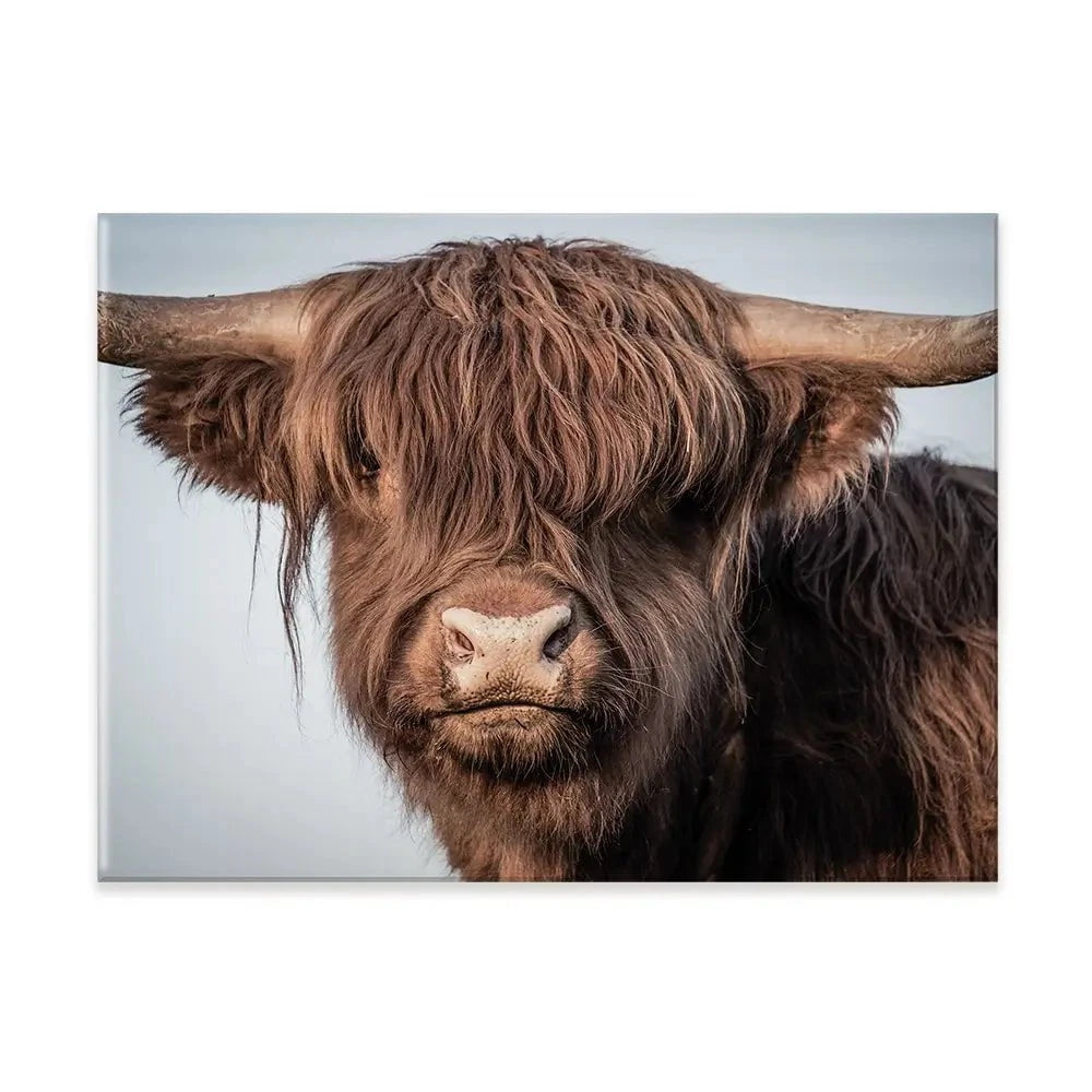 Scottish Brown Highland Cattle Canvas Print Scottish Brown Highland Cattle Canvas Print wall art product Sandro Fabris / Shutterstock