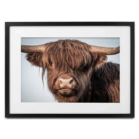 Scottish Brown Highland Cattle Framed Art Print Scottish Brown Highland Cattle Framed Art Print wall art product Excellent backgrounds / Shutterstock