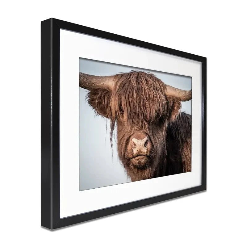Scottish Brown Highland Cattle Framed Art Print Scottish Brown Highland Cattle Framed Art Print wall art product Excellent backgrounds / Shutterstock