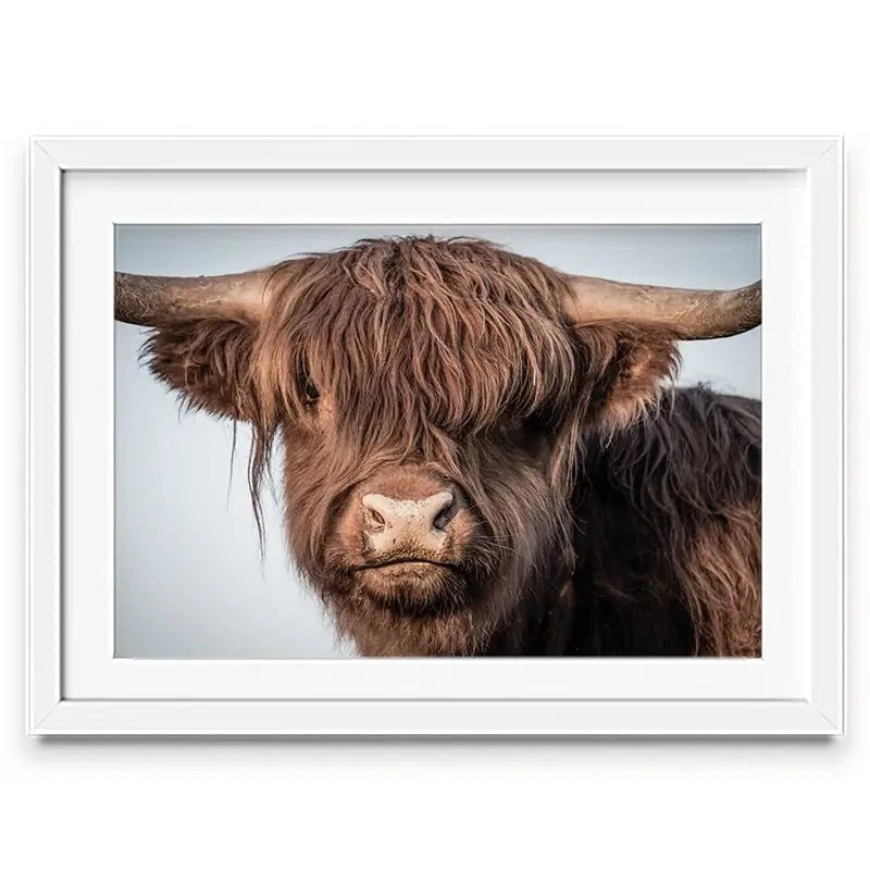 Scottish Brown Highland Cattle Framed Art Print Scottish Brown Highland Cattle Framed Art Print wall art product Excellent backgrounds / Shutterstock