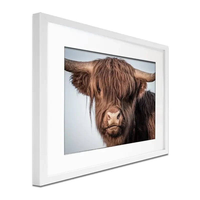 Scottish Brown Highland Cattle Framed Art Print Scottish Brown Highland Cattle Framed Art Print wall art product Excellent backgrounds / Shutterstock