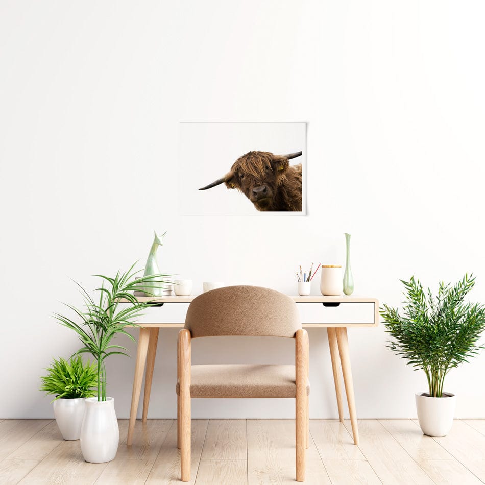 Side Peeking Highland Cow Art Print wall art product Massimo Cavallo / Shutterstock