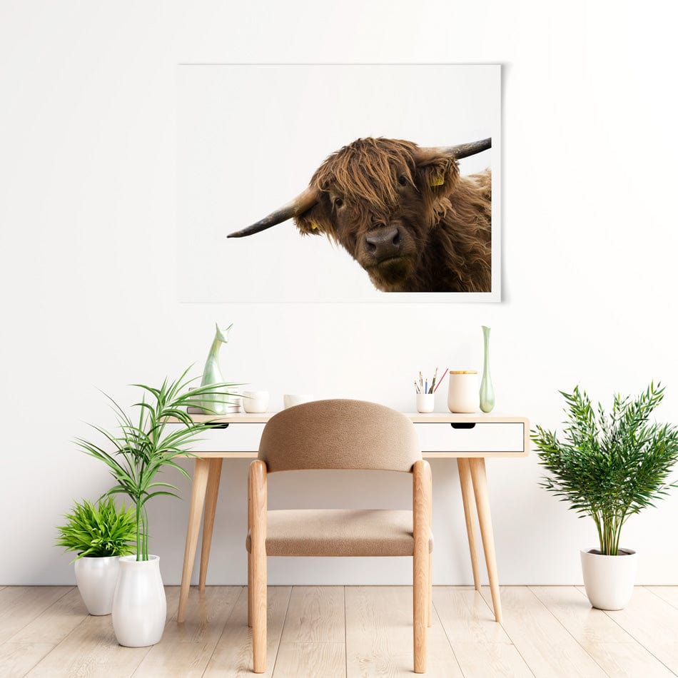 Side Peeking Highland Cow Art Print wall art product Massimo Cavallo / Shutterstock