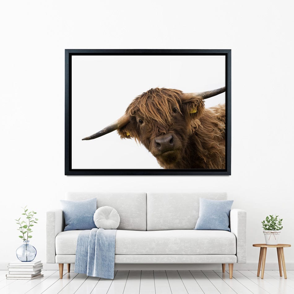 Side Peeking Highland Cow Canvas Print wall art product Massimo Cavallo / Shutterstock