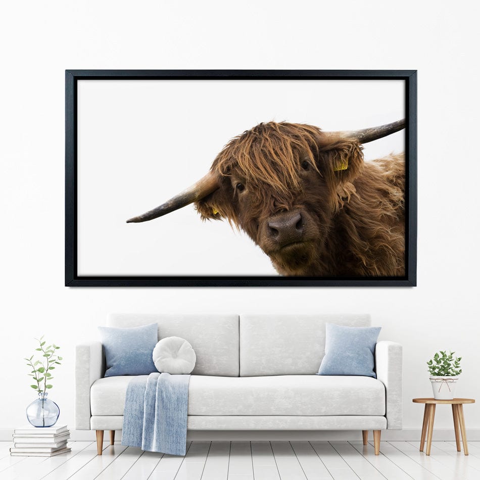 Side Peeking Highland Cow Canvas Print wall art product Massimo Cavallo / Shutterstock