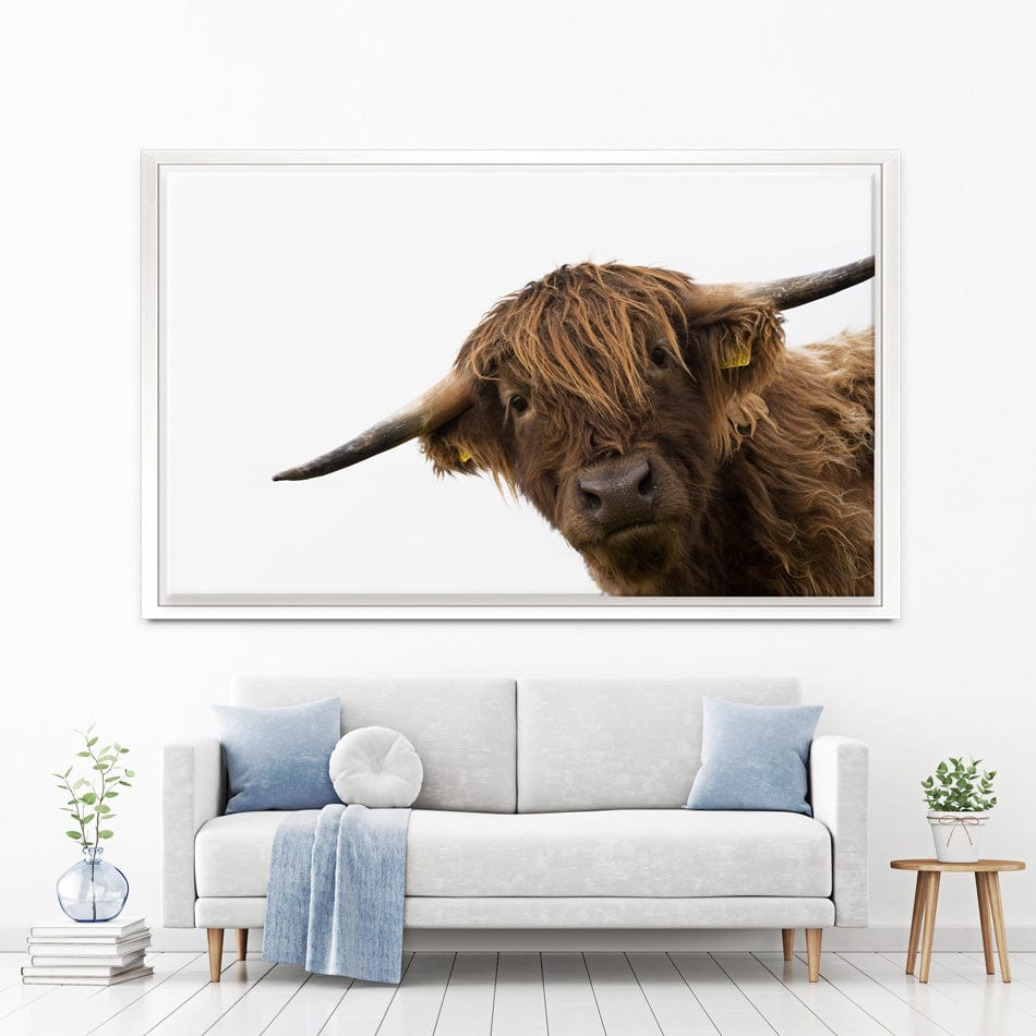 Side Peeking Highland Cow Canvas Print wall art product Massimo Cavallo / Shutterstock
