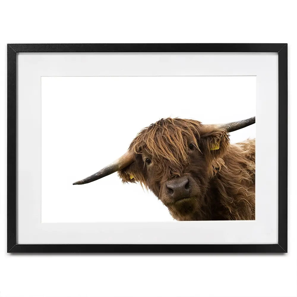 Side Peeking Highland Cow Framed Art Print Side Peeking Highland Cow Framed Art Print wall art product Massimo Cavallo / Shutterstock