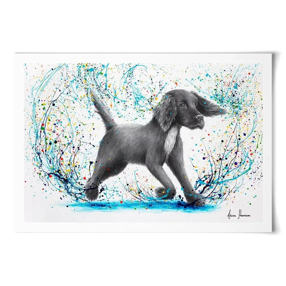 Spaniel Splash Art Print Spaniel Splash Art Print wall art product Ashvin Harrison