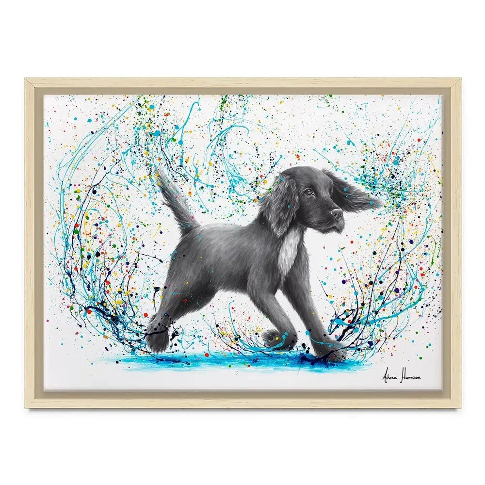 Spaniel Splash Canvas Print Spaniel Splash Canvas Print wall art product Ashvin Harrison