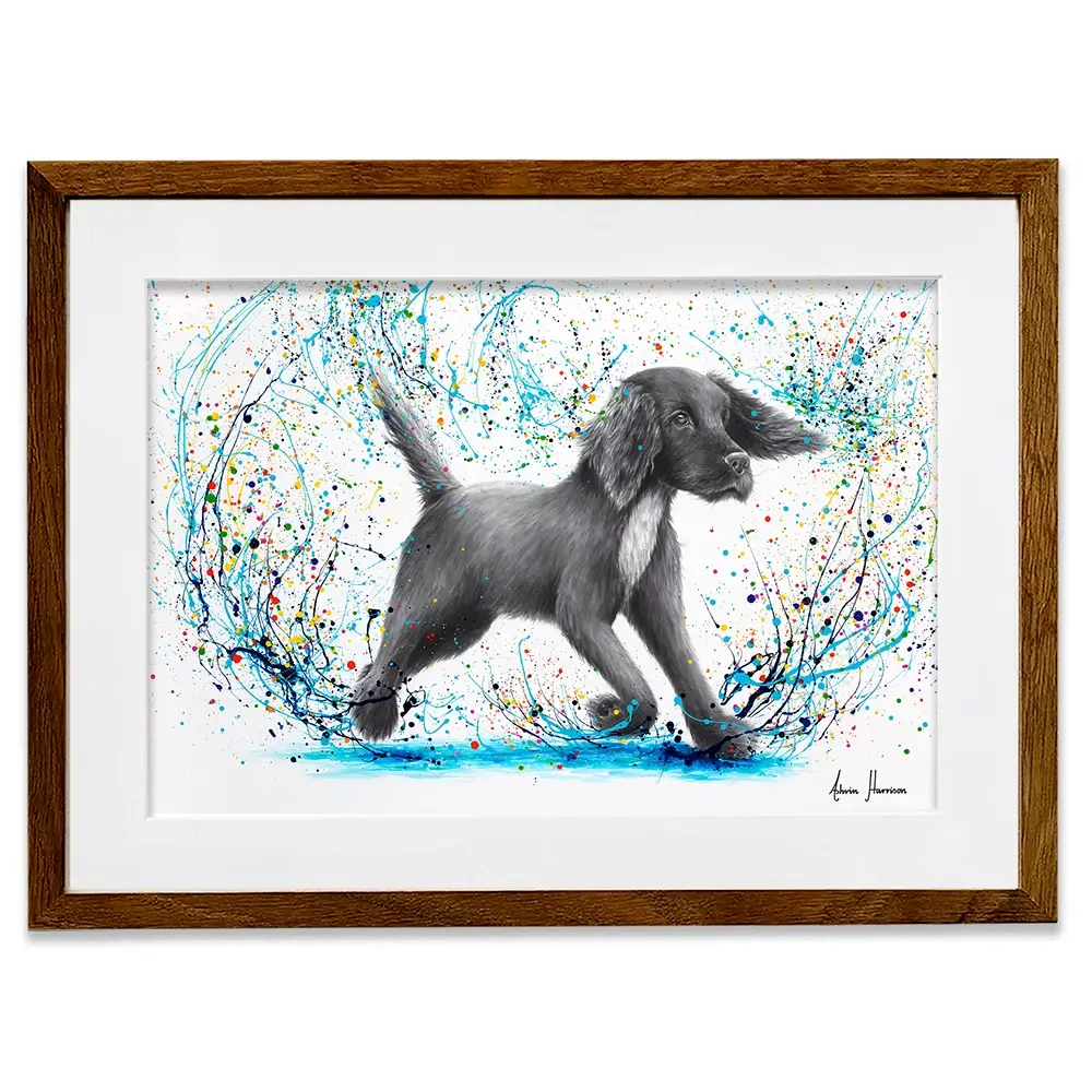Spaniel Splash Framed Art Print Spaniel Splash Framed Art Print wall art product Ashvin Harrison