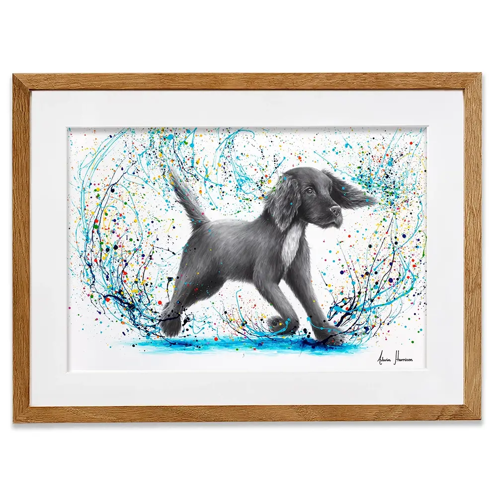 Spaniel Splash Framed Art Print Spaniel Splash Framed Art Print wall art product Ashvin Harrison
