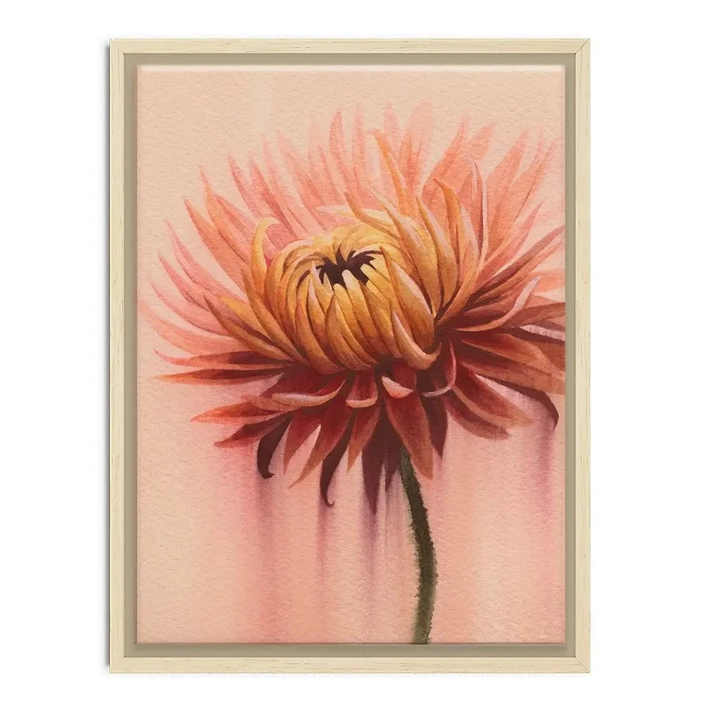 Sun Drenched Chrysanthemum 2 Canvas Print Sun Drenched Chrysanthemum 2 Canvas Print wall art product Grace Popp