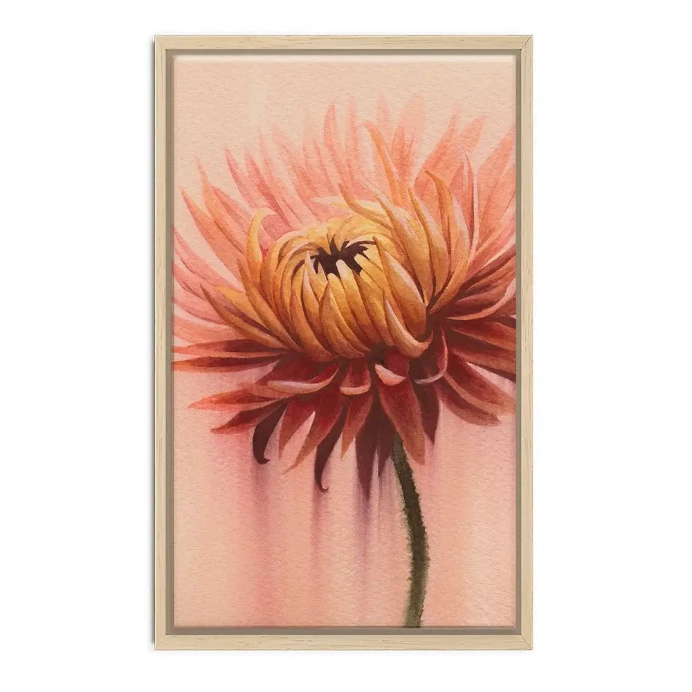 Sun Drenched Chrysanthemum 2 Canvas Print Sun Drenched Chrysanthemum 2 Canvas Print wall art product Grace Popp