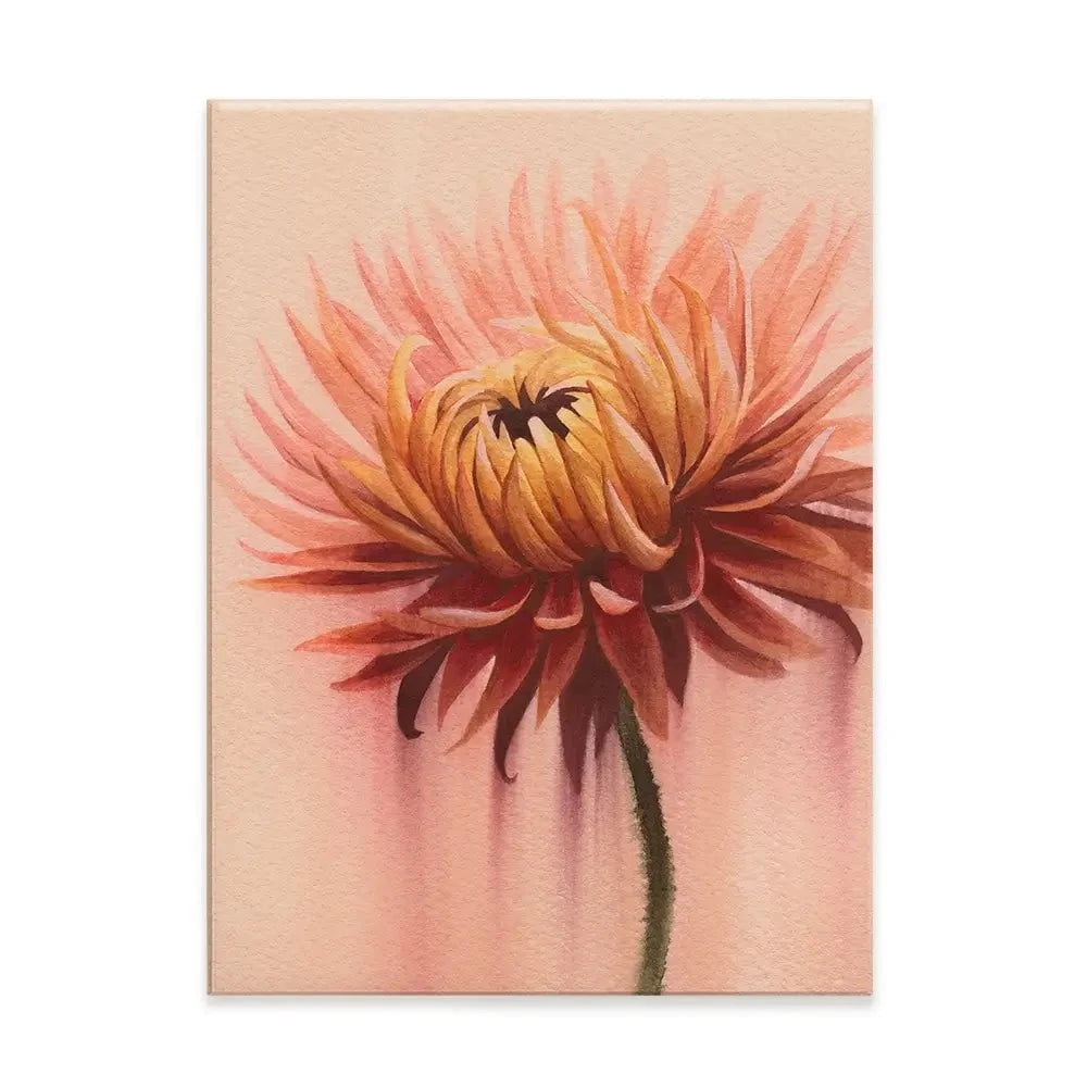 Sun Drenched Chrysanthemum 2 Canvas Print Sun Drenched Chrysanthemum 2 Canvas Print wall art product Grace Popp