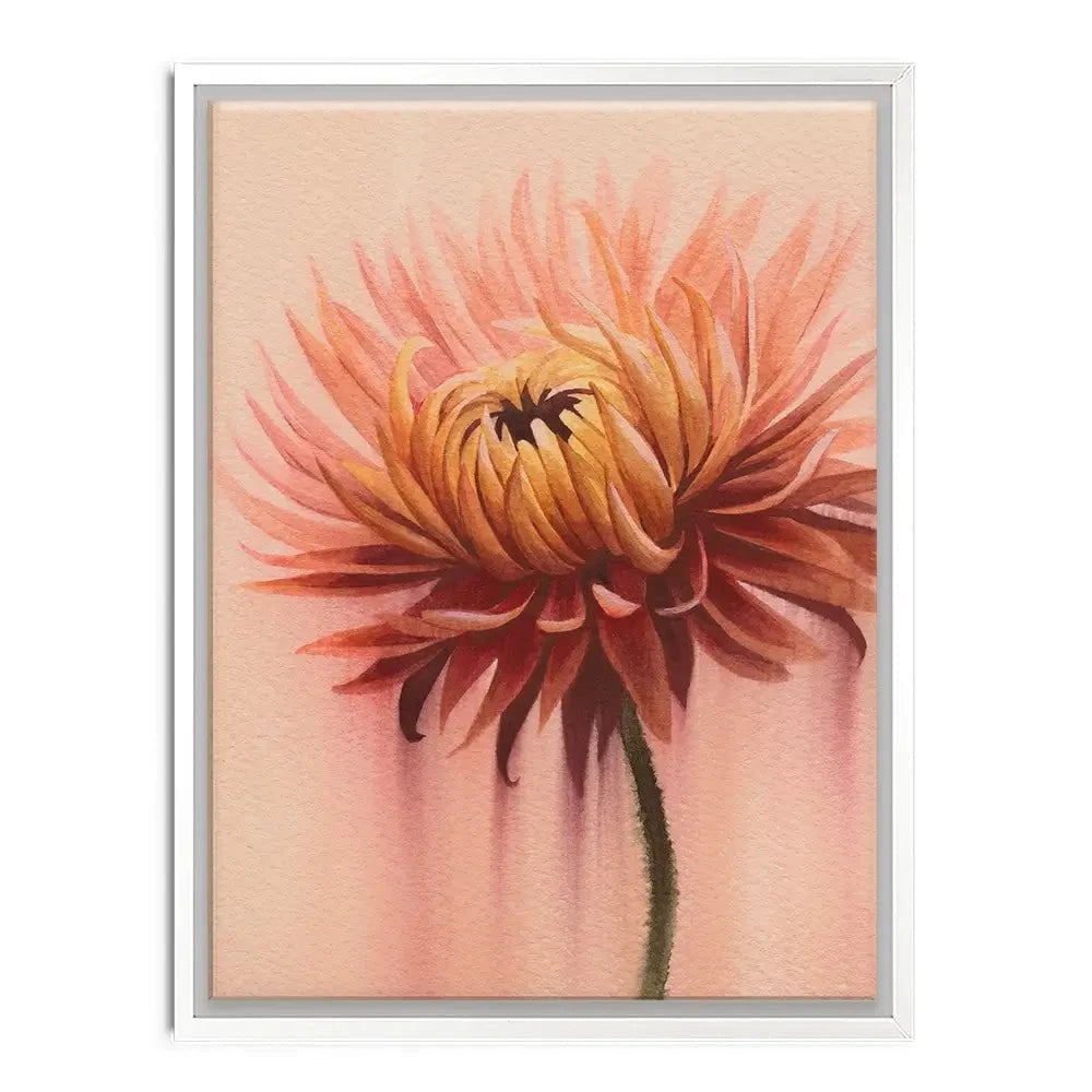 Sun Drenched Chrysanthemum 2 Canvas Print Sun Drenched Chrysanthemum 2 Canvas Print wall art product Grace Popp