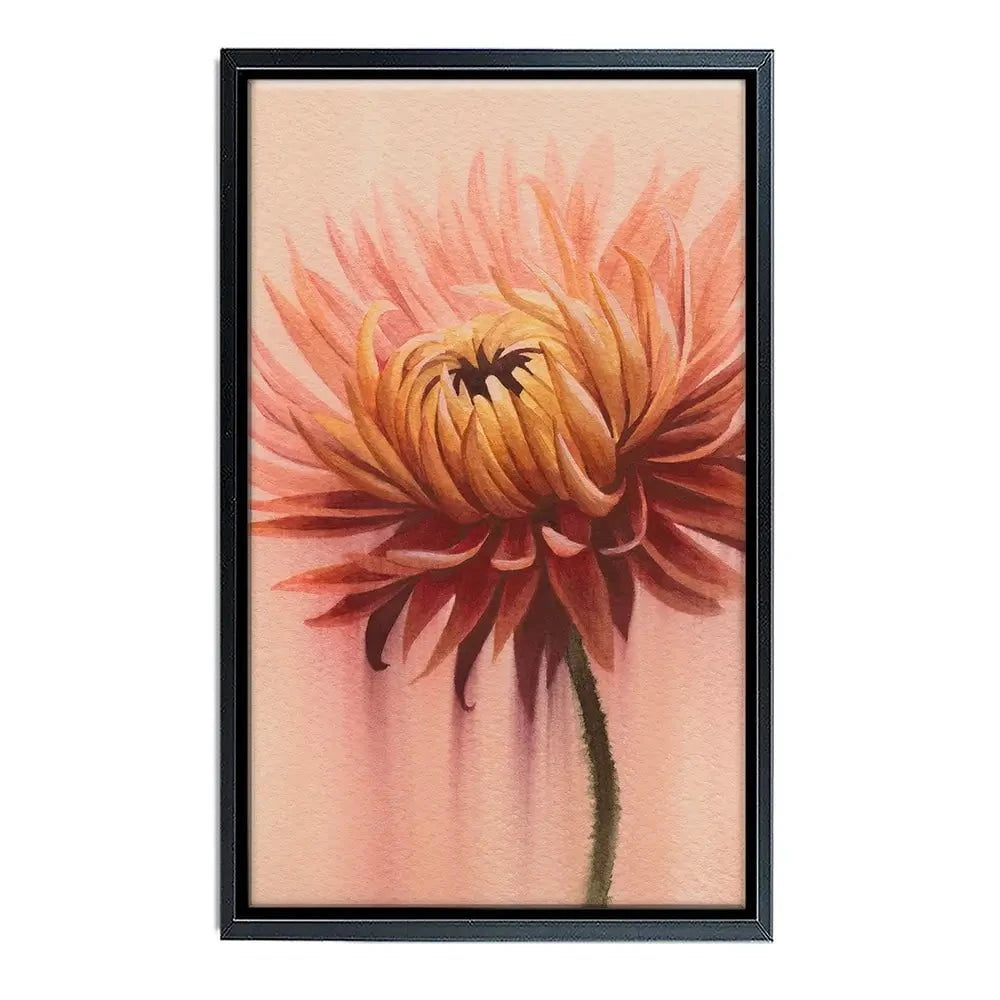 Sun Drenched Chrysanthemum 2 Canvas Print Sun Drenched Chrysanthemum 2 Canvas Print wall art product Grace Popp