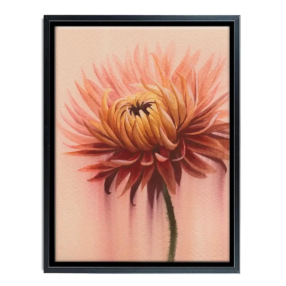 Sun Drenched Chrysanthemum 2 Canvas Print Sun Drenched Chrysanthemum 2 Canvas Print wall art product Grace Popp