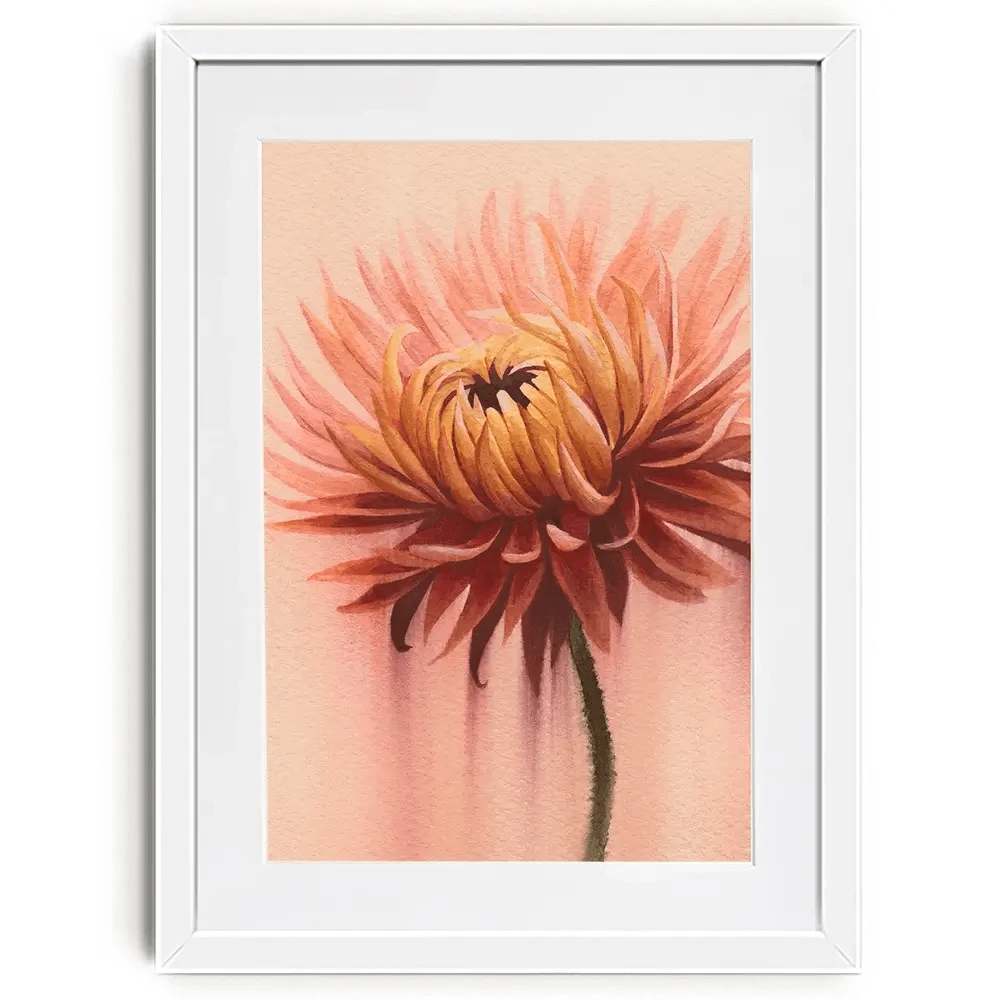 Sun Drenched Chrysanthemum 2 Framed Art Print Sun Drenched Chrysanthemum 2 Framed Art Print wall art product Grace Popp
