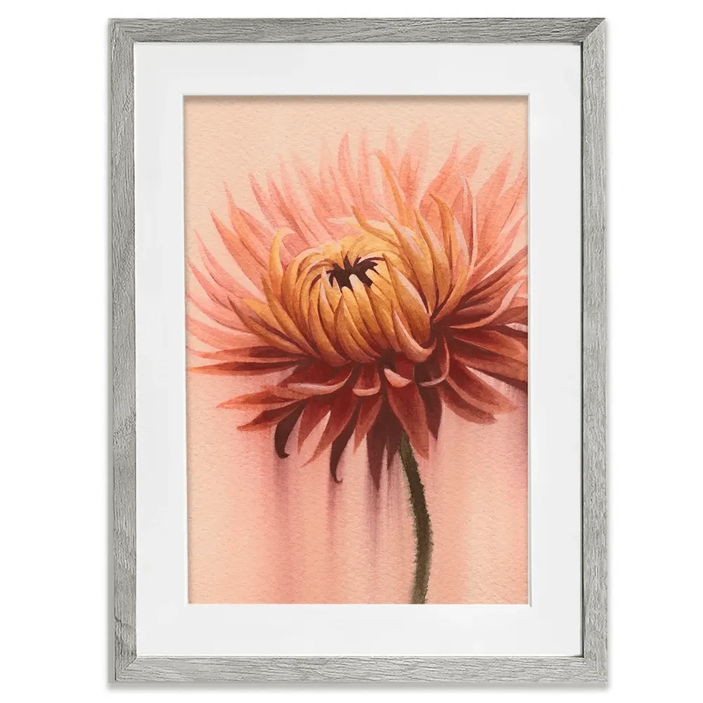 Sun Drenched Chrysanthemum 2 Framed Art Print Sun Drenched Chrysanthemum 2 Framed Art Print wall art product Grace Popp