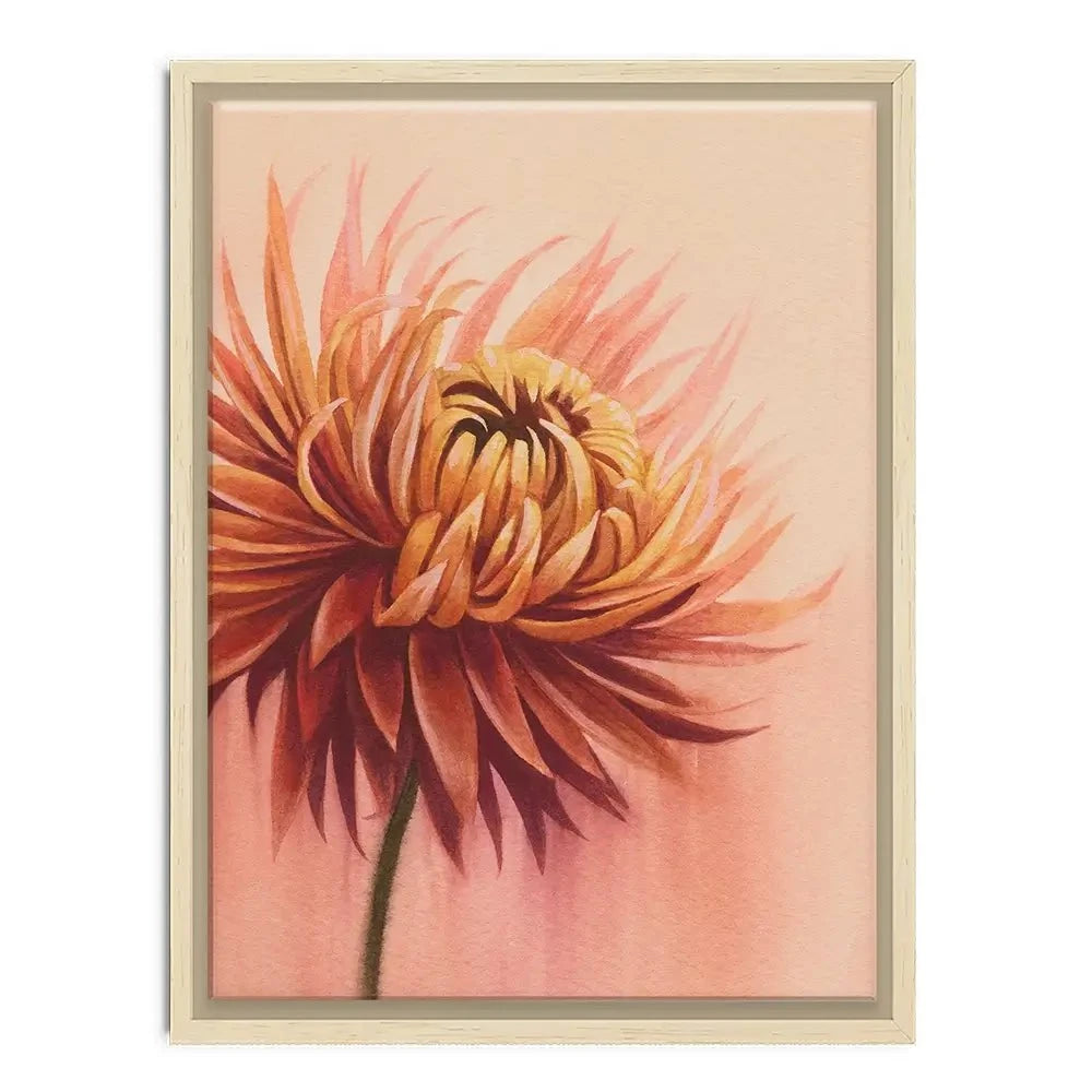 Sun Drenched Chrysanthemum Canvas Print Sun Drenched Chrysanthemum Canvas Print wall art product Grace Popp