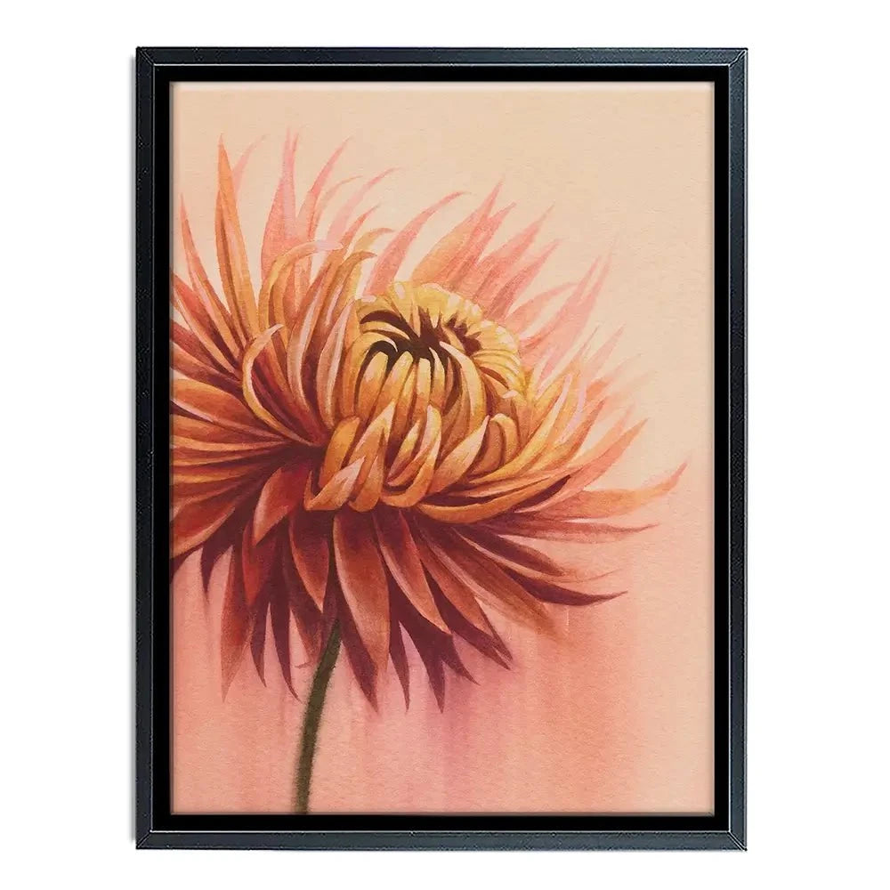 Sun Drenched Chrysanthemum Canvas Print Sun Drenched Chrysanthemum Canvas Print wall art product Grace Popp