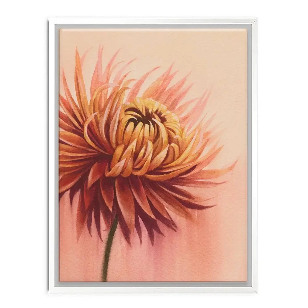 Sun Drenched Chrysanthemum Canvas Print Sun Drenched Chrysanthemum Canvas Print wall art product Grace Popp