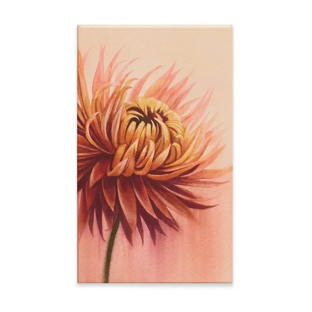 Sun Drenched Chrysanthemum Canvas Print Sun Drenched Chrysanthemum Canvas Print wall art product Grace Popp