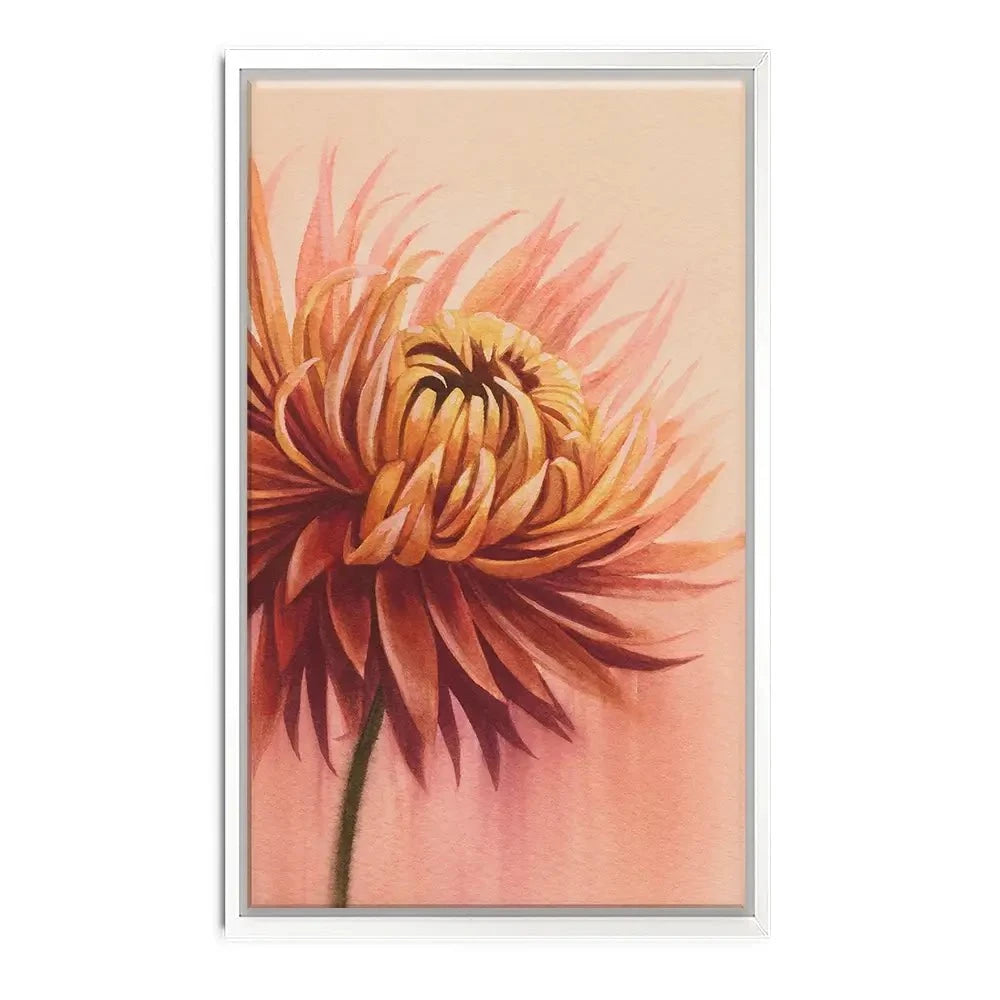 Sun Drenched Chrysanthemum Canvas Print Sun Drenched Chrysanthemum Canvas Print wall art product Grace Popp