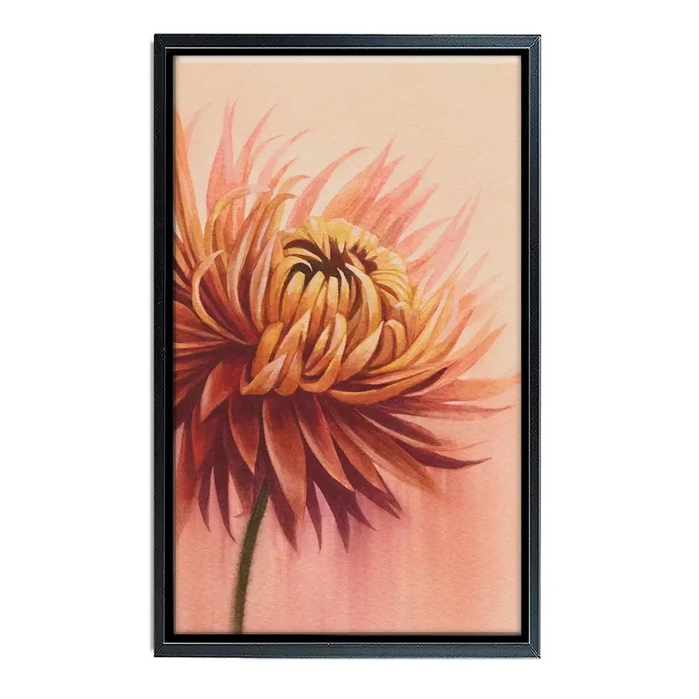 Sun Drenched Chrysanthemum Canvas Print Sun Drenched Chrysanthemum Canvas Print wall art product Grace Popp