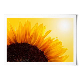 Sunflower Art Print Sunflower Art Print wall art product S_Photo / Shutterstock