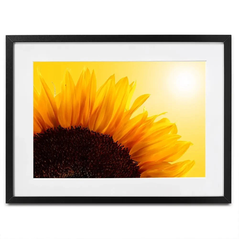 Sunflower Framed Art Print Sunflower Framed Art Print wall art product S_Photo / Shutterstock