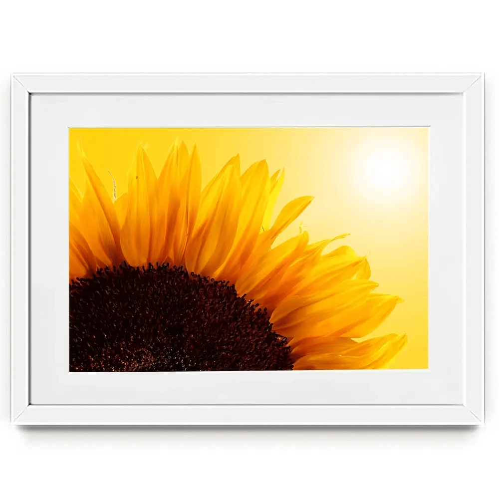Sunflower Framed Art Print Sunflower Framed Art Print wall art product S_Photo / Shutterstock