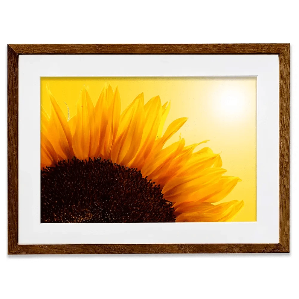Sunflower Framed Art Print Sunflower Framed Art Print wall art product S_Photo / Shutterstock