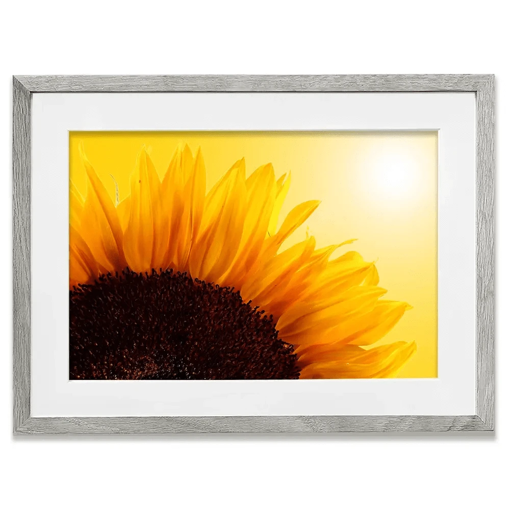 Sunflower Framed Art Print Sunflower Framed Art Print wall art product S_Photo / Shutterstock