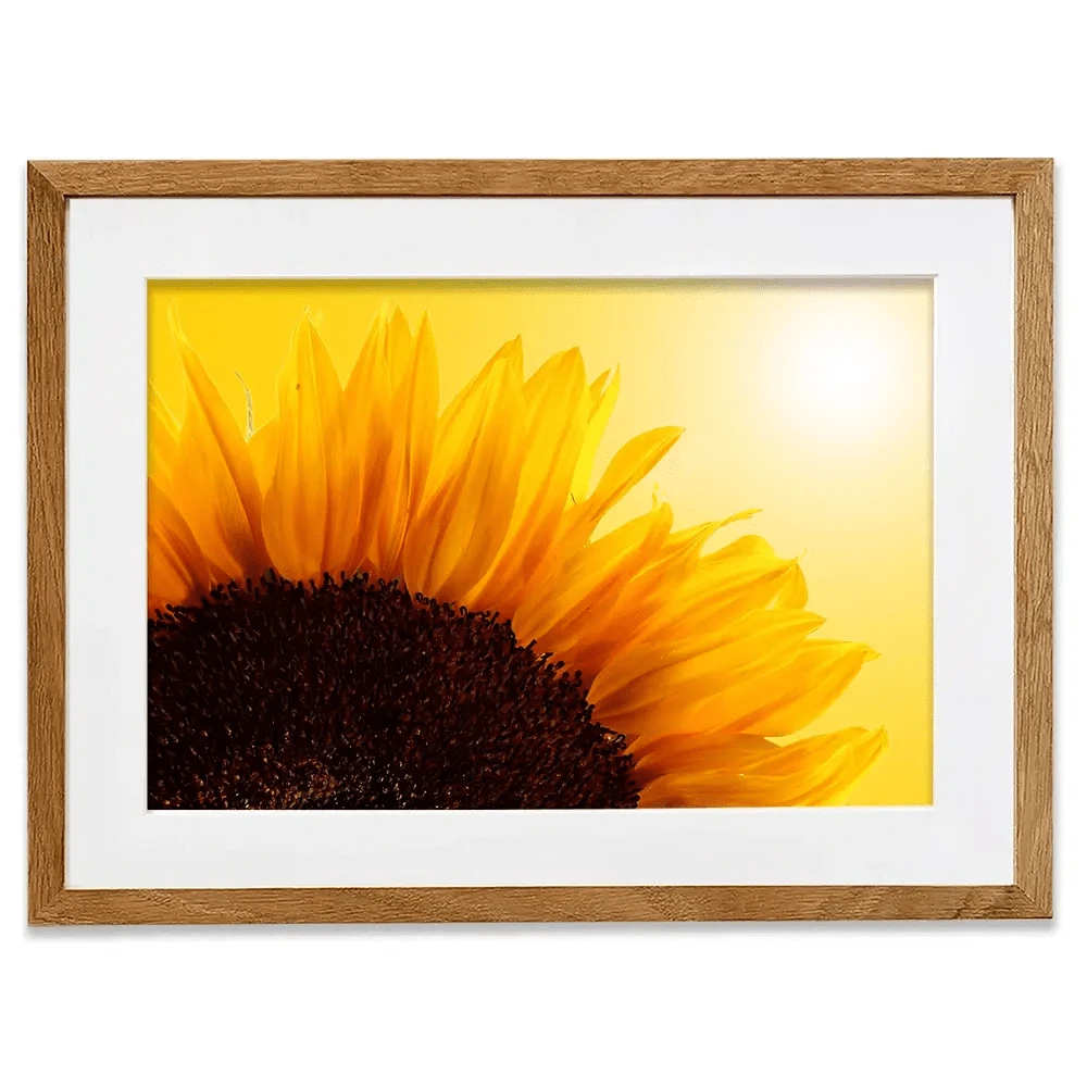 Sunflower Framed Art Print Sunflower Framed Art Print wall art product S_Photo / Shutterstock