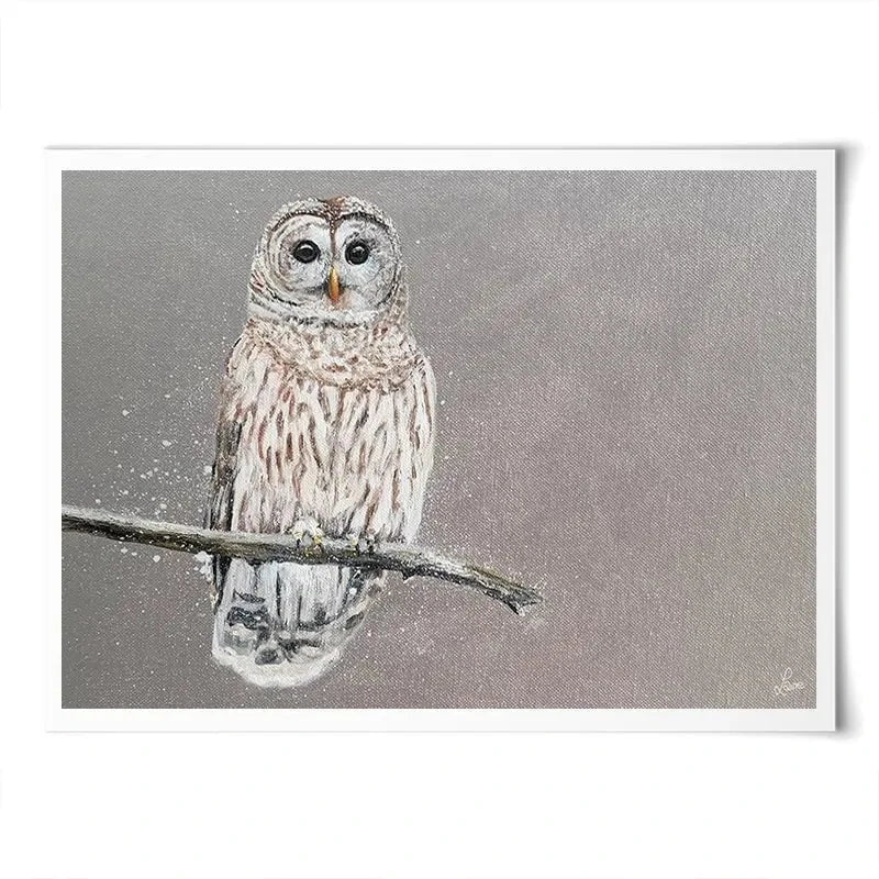 Tawny Owl At Night Art Print Tawny Owl At Night Art Print wall art product Laure Bury