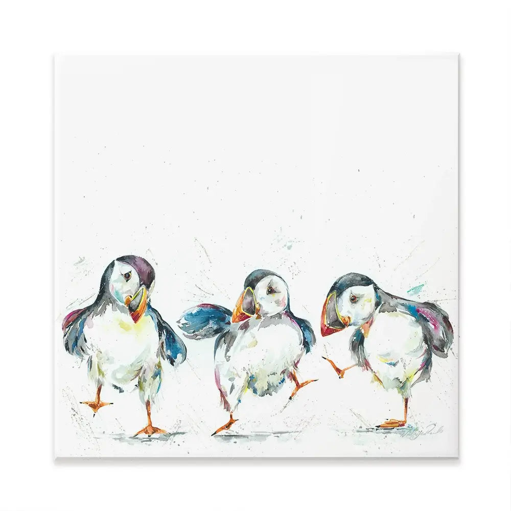 Three Puffins Square Canvas Print Three Puffins Square Canvas Print wall art product Nicola Jane Rowles